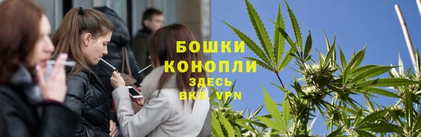 прущие грибы Горняк