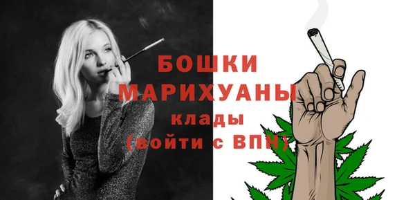 прущие грибы Горняк