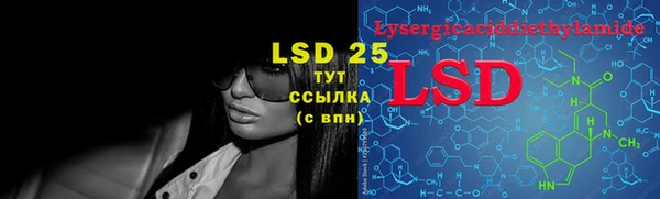 прущие грибы Горняк