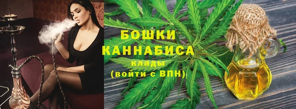 прущие грибы Горняк