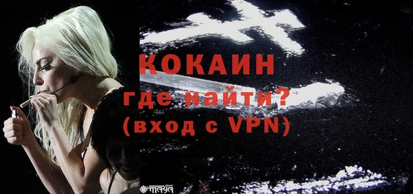 прущие грибы Горняк