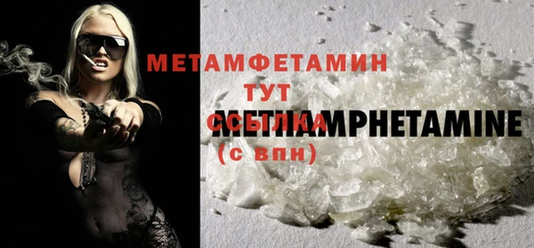прущие грибы Горняк