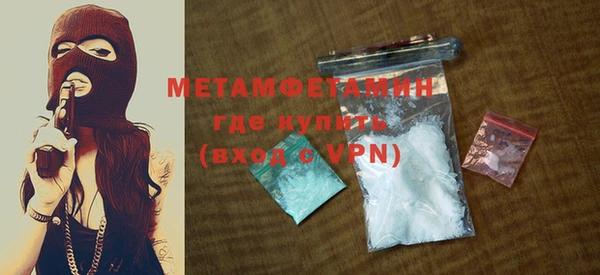 прущие грибы Горняк