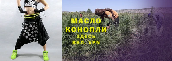 прущие грибы Горняк