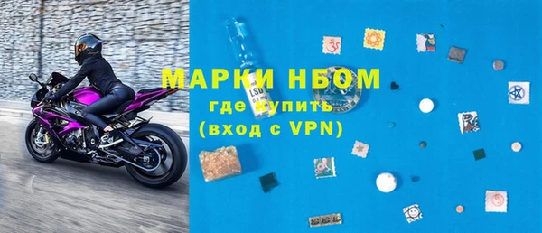 прущие грибы Горняк
