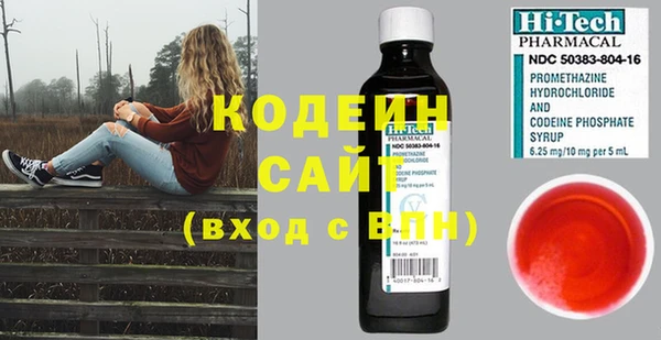 прущие грибы Горняк